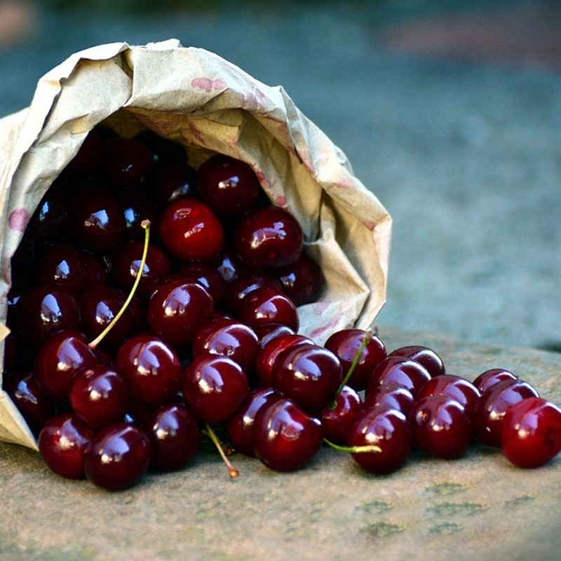 bing cherries in a can